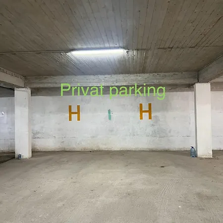 Lion Fountain 1 * Wlora